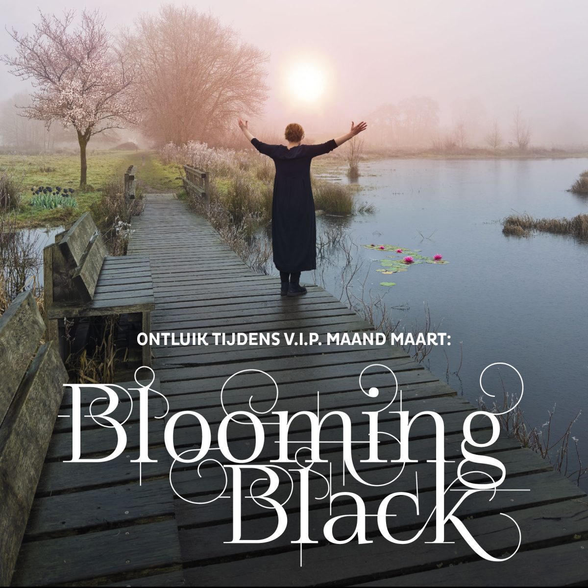 daily vip maand: blooming black