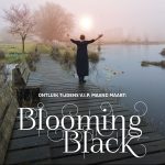 daily vip maand: blooming black